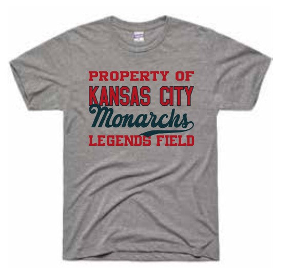 T-Shirt, Grey Property of LF